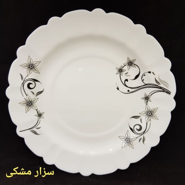 سزار مشکی-کنگره